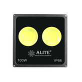 پرژکتور۱۰۰cob الیت