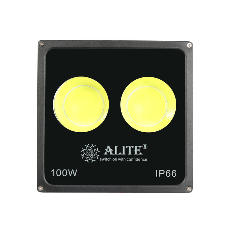 پرژکتور۱۰۰cob الیت